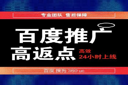 百度竞价公司案例分析：优化策略全解析