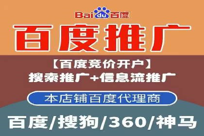 SEM外包公司案例：助力企业拓展海外市场